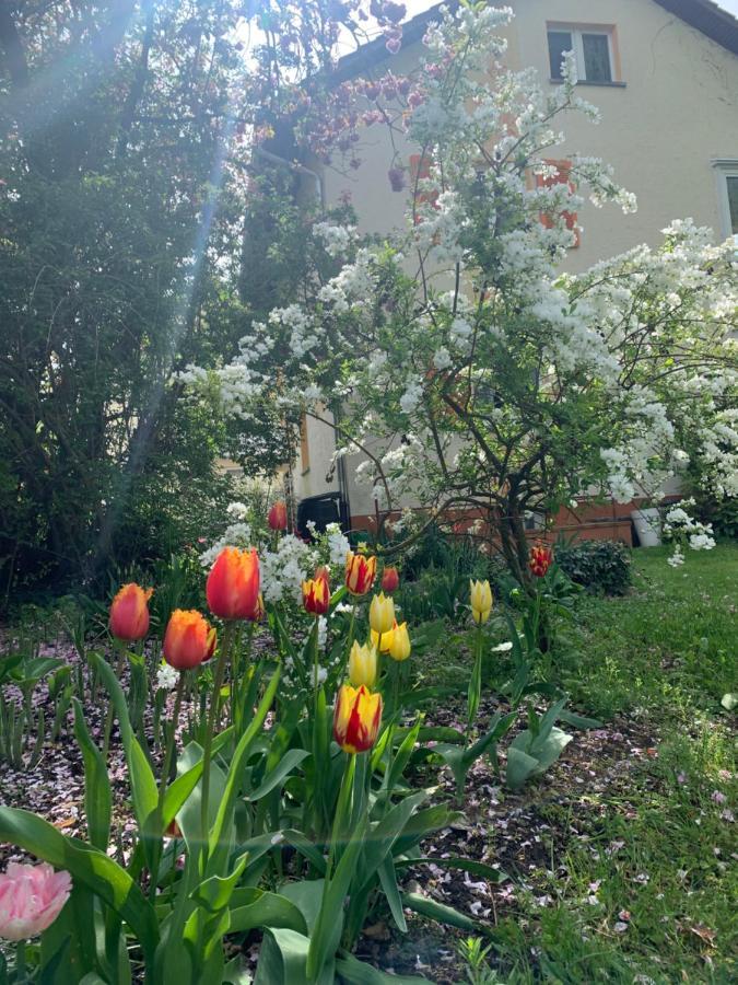 Apartament Blumenblick Rielasingen-Worblingen Zewnętrze zdjęcie