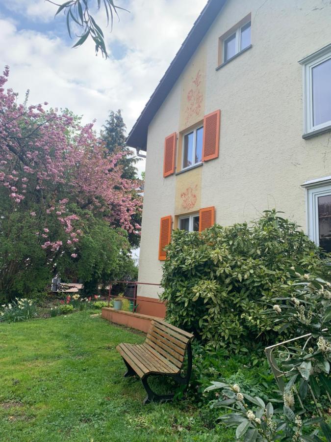 Apartament Apartament Blumenblick Rielasingen-Worblingen Zewnętrze zdjęcie